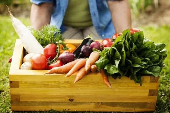 Optima Granulerad Kycklinggödsel 20l Naturlig ECO-gödsel Biovita