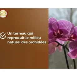 Orkidéjord - BROWN GOLD - OBRTORC6U - 6L - Främjar tillväxt