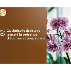 Orkidéjord - OR BRUN - OBRTORC6U - 6L - Främjar tillväxten