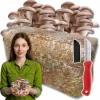 Ostronsvampmycelbal 15 kg Hemodling Snabbskörd + Gratis