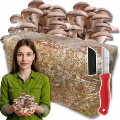 Ostronsvampmycelbal 15 kg Hemodling Snabbskörd + Gratis