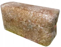 Ostronsvampmycelbal 15 kg Hemodling Snabbskörd + Gratis