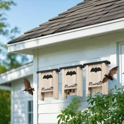 3-pack fladdermusbo, fladdermuslådor för trädgårdar, fruktträdgårdar, gårdar, enkel upphängning, 18 x 6 x 22,5 cm