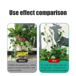 Paket med 50 självhäftande växthållare Plantkopplingsklämma Klätterväxter Fixering av väggväxtklämmor för stödplantering