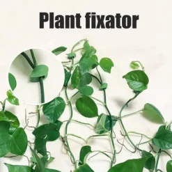 Paket med 50 självhäftande växthållare Plantkopplingsklämma Klätterväxter Fixering av väggväxtklämmor för stödplantering