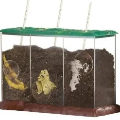 Pedagogiska insikter Nu ser du det nu Du ser inte igenom kompostbehållaren