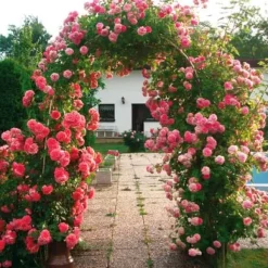 Pergola - trädgårdsgrind, valv