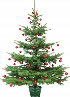 Planet 1 julgransställ | Grön