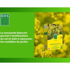 Plant fertiliser BHS 500 g