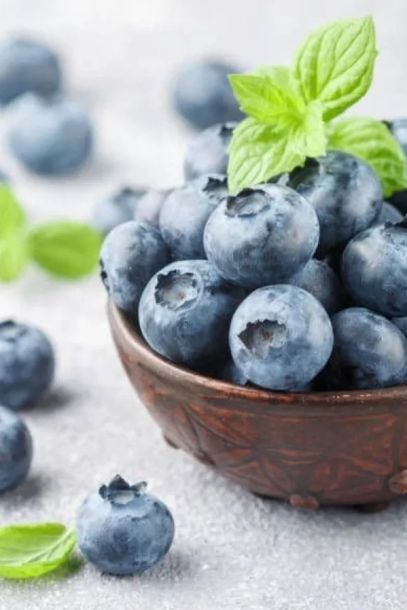 PLANTON B flerkomponentsgödsel för blåbär och andra sura växter 200 g