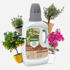 Pokon - Flytande gödselmedel för medelhavsväxter - 500 ml