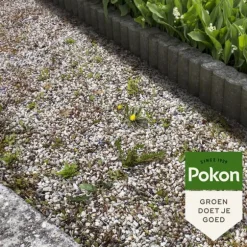 Pokon flytande ogräskoncentrat - 225ml