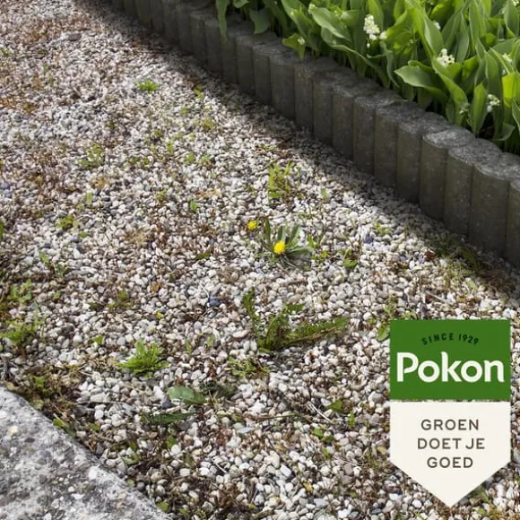 Pokon flytande ogräskoncentrat - 225ml