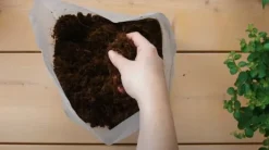 Pokon krukjord Kompakt - Kokosjord - Inomhus och utomhus - 50 liter