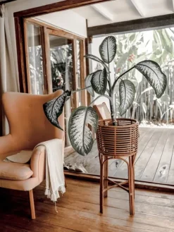 POLLIE M KARAMELL BLOMMSÄNG