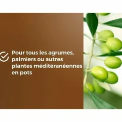 Potting compost OR BRUN 6 L Citrus