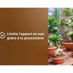 Potting compost OR BRUN BROWN GOLD 6 L