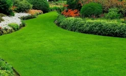 PROFI FORTEFOSKA GRÄSMATTGÖDNING 1 KG GRANULAT MYCKET EFFEKTIV