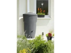 Prosperplast IDWA270-R736, 270 l, Antracit, Rainwater, 731 mm, 1278 mm