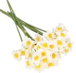 PÅSKLILJEBUKETT PÅSKLILJEBLOMMOR 41 CM MED 6 GRENAR