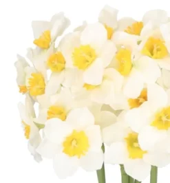 PÅSKLILJEBUKETT PÅSKLILJEBLOMMOR 41 CM MED 6 GRENAR