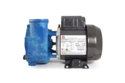 Pump Gecko CIRC-MASTER XP Serien 2" Jacuzzi / Sundance