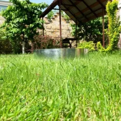 Rabattkant, Gräskant, Trädgårdskant, Kantplåt, Gräsmattkant metall Alu/Zink (längd 10m 15m / höjd 15cm 20cm 25cm), Längd GS:10 m, Bred:15 cm