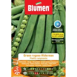 RAMPANDE LINSÄRTER FRÖN GRYNIG BLUMEN