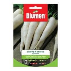 Ravanello Candela Ghiaccio Frön - Blommor - Vit - Trädgård - Utomhus - Natur och landskap