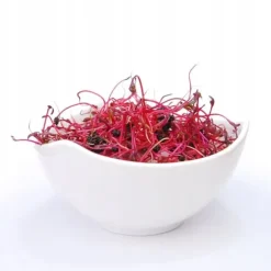 Rödbeta Bull's Blood 250g - frön för groning