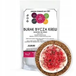 Rödbeta Bull's Blood 250g - frön för groning