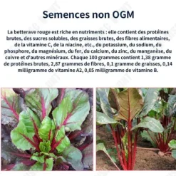 Rödbeta frön - TD - Sockerinnehåll 5% - Groning 90% - Hemträdgård - Renhet 98%