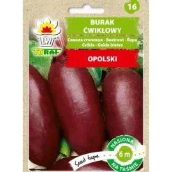 Rödbetor avlång OPOLSKI (6m tejp)