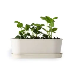 Rädisa och Nasturtium - Jordgubbsbambuplanterare