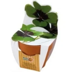 RÄDISOR OCH NATURA - 4-blad klöver kit