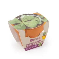 RÄDISOR OCH NATURA - 4-blad klöver kit