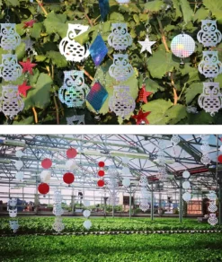 Reflekterande fågelskrämma i form av ugglor 4 Pack