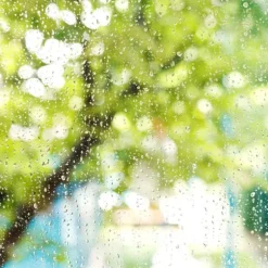 Regnmätarset, 24,5x10,5x8,5 cm, Svart