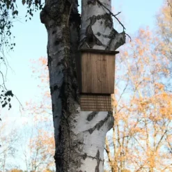 Relaxdays Fladdermusbox, stort skydd för fladdermöss, HxBxD: 37 x 22 x 12,5 cm, fågelhus, trä, brun