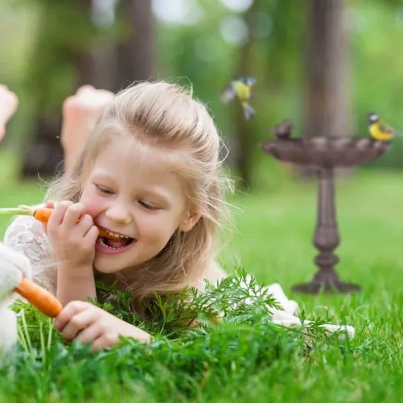 Relaxdays Fontäner i gjutjärn på fot, Trädgårdsdekoration, Snäckmatare för vilda fåglar brun