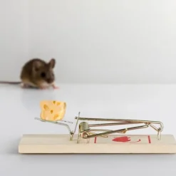 Relaxdays Musfälla i paket om 12, klassiska fällor, återanvändbara, utan gift, råttfälla, metall, trä, natur