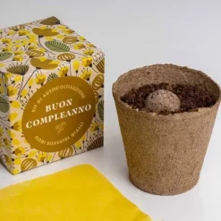 RESET, KIT FÖR SJÄLVODLING, SÄG DET MED BLUMMOR - GRATTIS PÅ FÖDELSEDAGEN, HEMMET, GÅVOSIDÉER