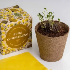 RESET, KIT FÖR SJÄLVODLING, SÄG DET MED BLUMMOR - GRATTIS PÅ FÖDELSEDAGEN, HEMMET, GÅVOSIDÉER