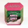 RESETA, KIT FÖR AUTODRÄKTIGEN MIMOSA PUDICA, HEMMA, GÅVOSIDÉER