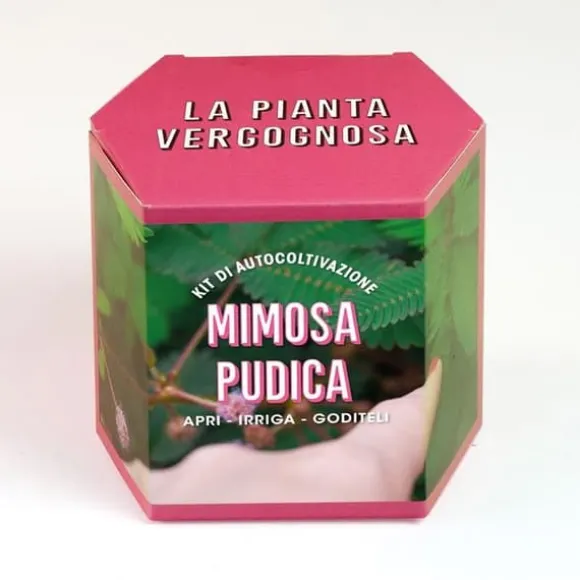 RESETA, KIT FÖR AUTODRÄKTIGEN MIMOSA PUDICA, HEMMA, GÅVOSIDÉER