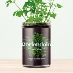 RESETA, KÖKENS TRÄDGÅRD - KORIANDER, HEMMA, GÅVOSIDÉER