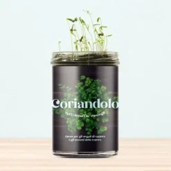 RESETA, KÖKENS TRÄDGÅRD - KORIANDER, HEMMA, GÅVOSIDÉER