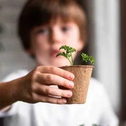 RESETA, MIN FÖRSTA JORDGUBBSODLING, HEMMA, PRESENTIDÉER