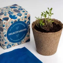 RESETEA, KIT FÖR SJÄLVODLING, SÄG DET MED BLOMTOR - GRATTIS, HEM, PRESENTIDEER