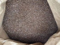 Ribwort plantainfrön - ekologiska 1kg